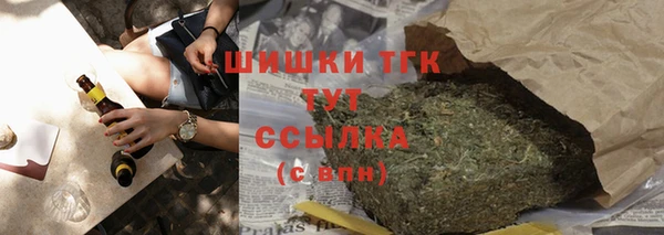 сатива Новокубанск