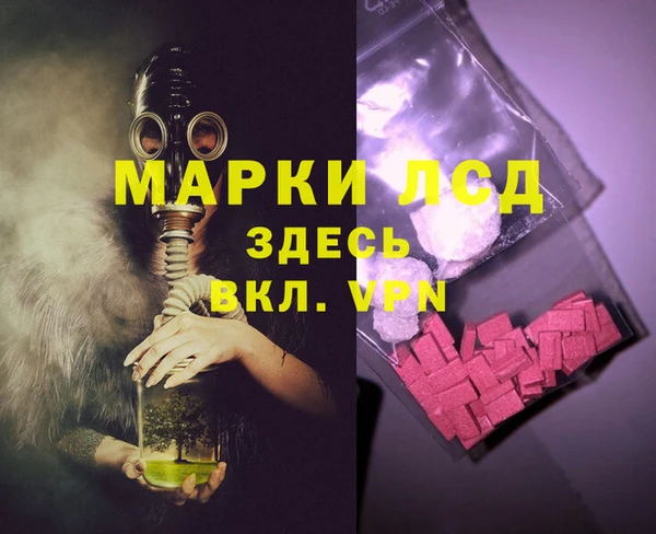 индика Нязепетровск