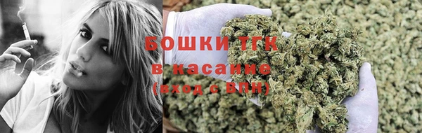 индика Нязепетровск