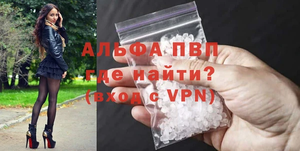 индика Нязепетровск